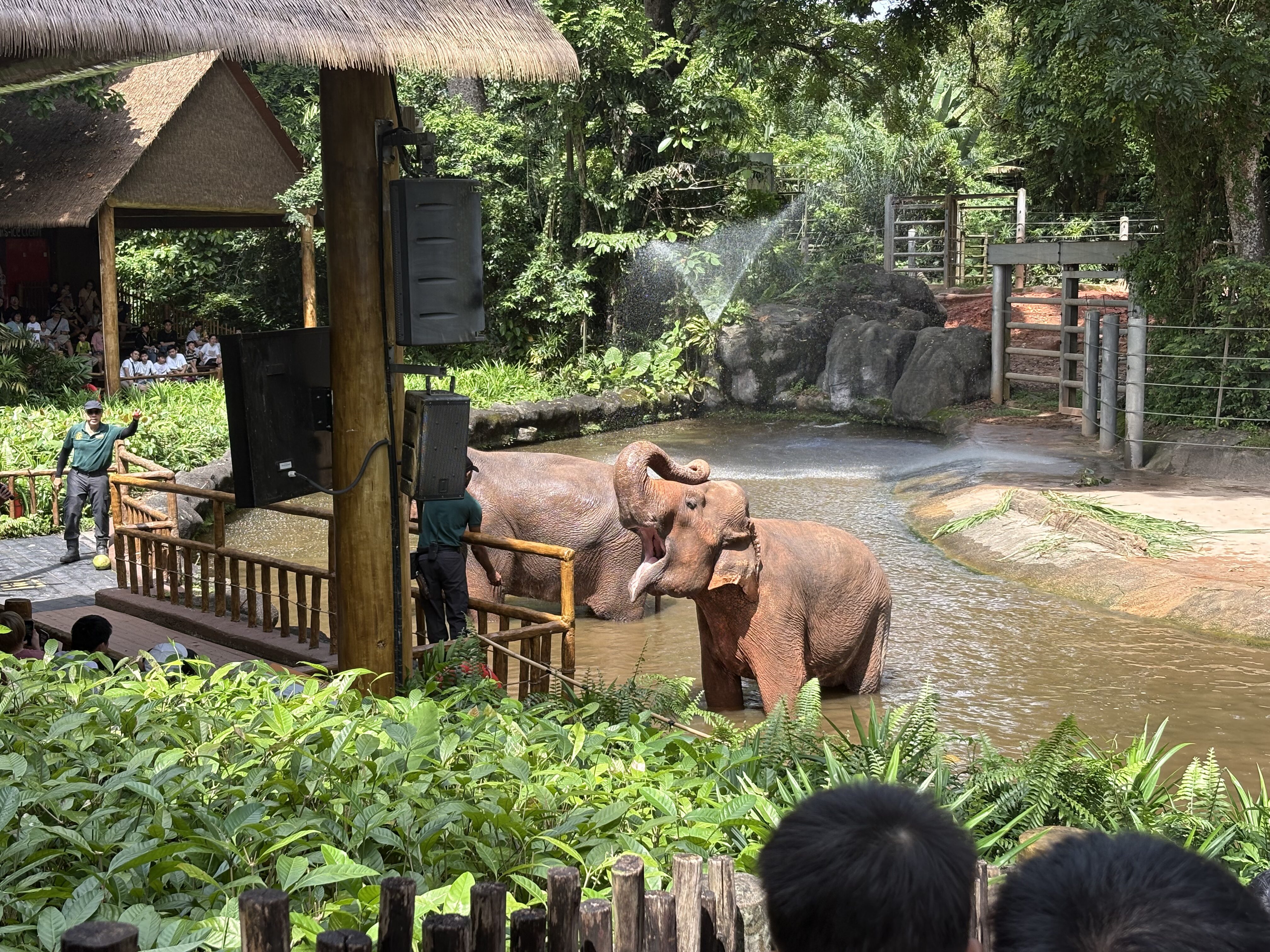 シンガポール動物園