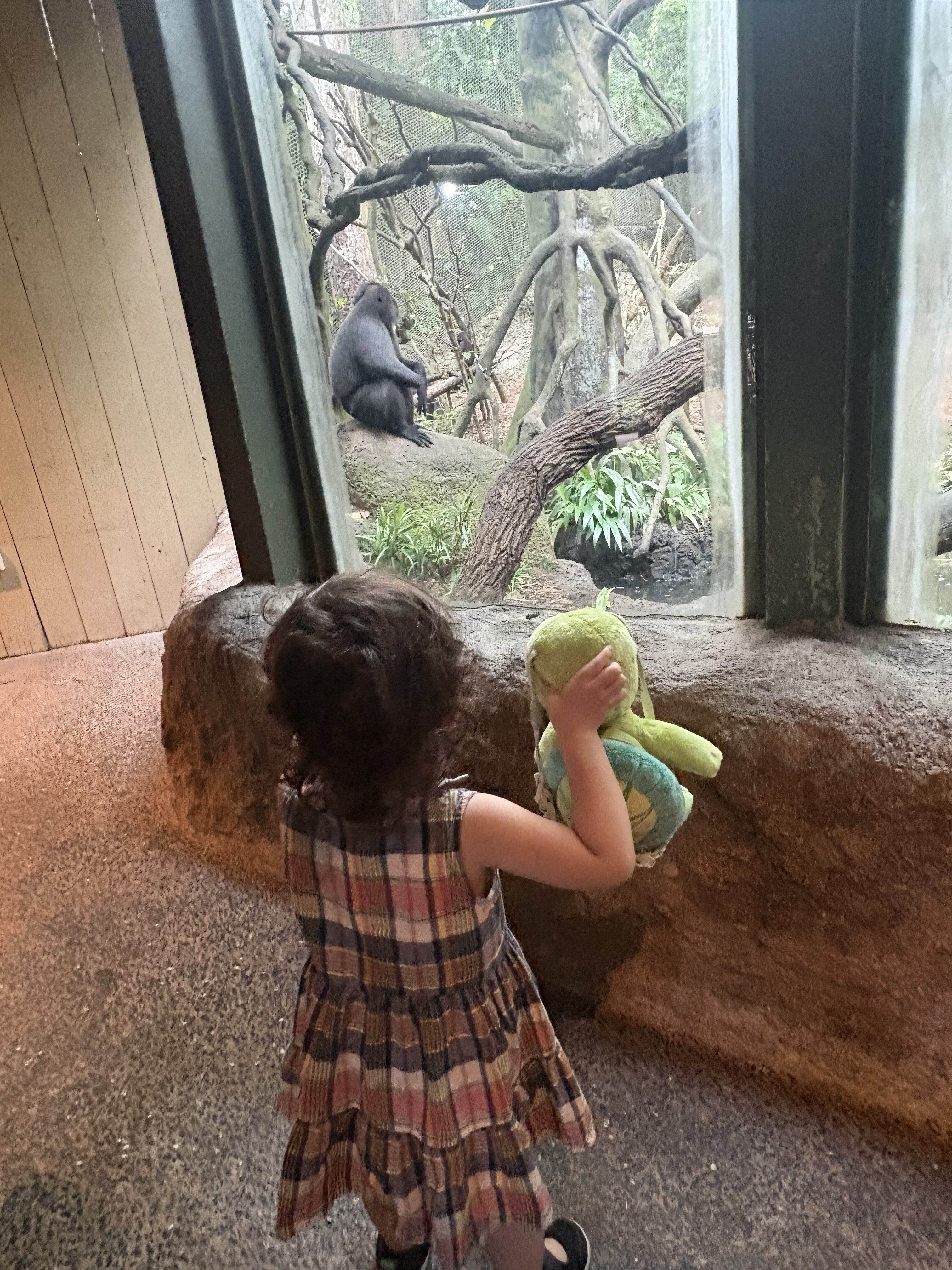シンガポール動物園３
