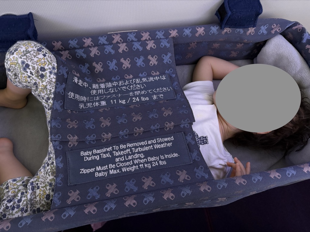 上から見たJALのバシネットで寝る1歳半の娘