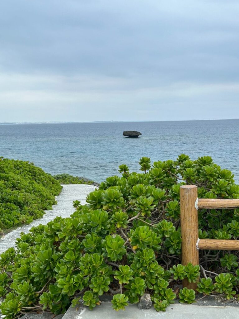 海に浮かぶキノコのような形の岩